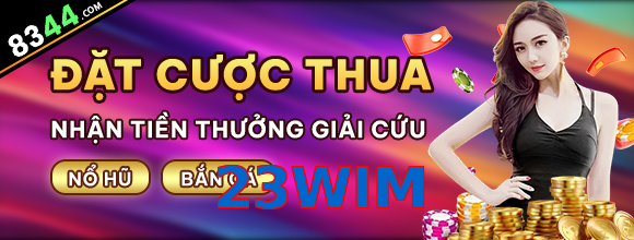 23WIM